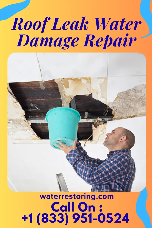 Roof Leak Water Damage Repair in Magnolia Beach, TX